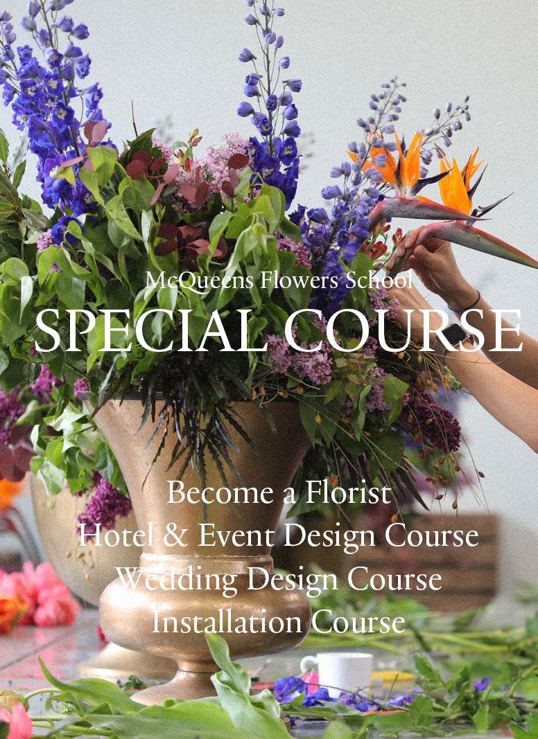 Special Courses
